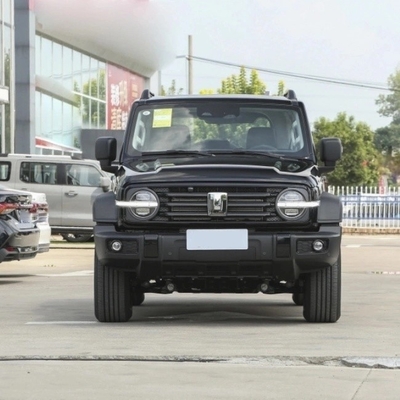 Бензиновый бак 300 2023 Модель 2.0t Iron Rider 02 внедорожник Автомобиль с 5 местами