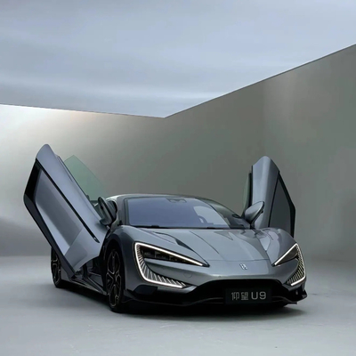 Передний диск Задний дисковый тормозная система настройка для Yang Wang U9 Super Car EV Electric