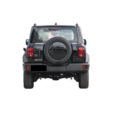 Танк 300 2024 2.0t Conqueror SUV Автомобиль 5 мест и дистанционное управление Послепродажное обслуживание