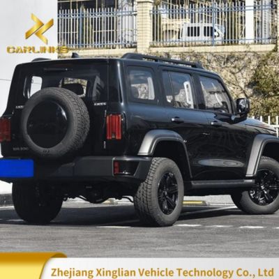 Кузовный стиль внедорожника Tank 300 2.0t 8at Awd Бензиновый автомобиль внедорожный дизайн 2024 Conqueror Version