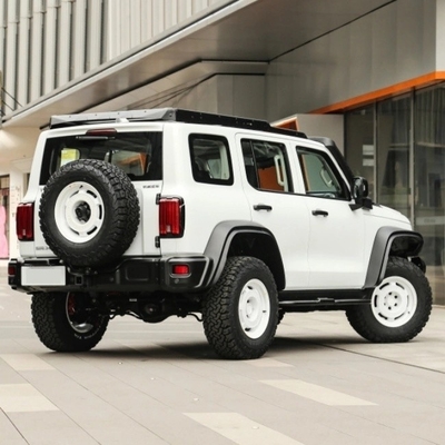 Бензиновый бак 300 2023 Модель 2.0t Iron Rider 02 внедорожник Автомобиль с механической тормозной системой