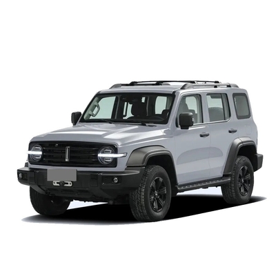 Китайский танк 300 внедорожник с 2,0t 227PS L4 8at Custom Model Car в черном внешнем цвете