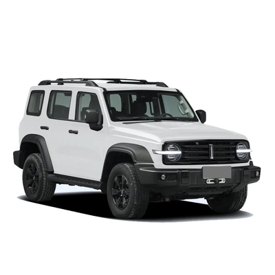 Китайский танк 300 внедорожник с 2,0t 227PS L4 8at Custom Model Car в черном внешнем цвете