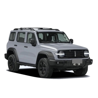 Китайский танк 300 внедорожник с 2,0t 227PS L4 8at Custom Model Car в черном внешнем цвете