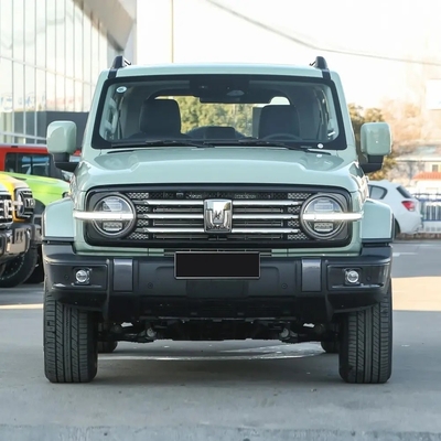 Китайский танк 300 внедорожник с 2,0t 227PS L4 8at Custom Model Car в черном внешнем цвете
