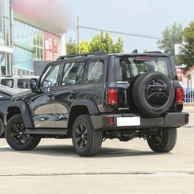 Прямая поставка Great Wall Tank 300 SUV 2023 Модель 2.0t Cuirass 02 Черный внешний автоматический