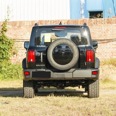 2.0t 5-местный резервуар 300 Движение на четырех колесах Бензин производится по заказу