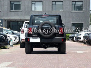 Black Great Wall Haval Tank 300 5 мест 4WD внедорожник бензиновый бензиновый гибридный внедорожник