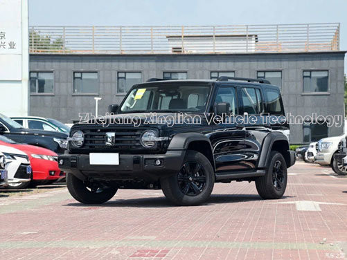 Танк 300 Автомобиль китайский 8 скорости 227 л.с. 5 мест Бензиновый внедорожник с механической тормозной системой