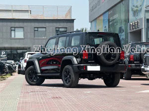 Tank Cyper 300 Great Wall Car Популярные внедорожные автомобили в Согласно клиенту