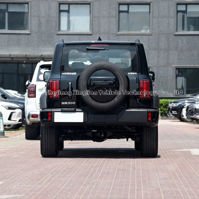 Tank300 2024 SUV 2,0t Great Wall Tank 300 Автомобиль с механической тормозной системой