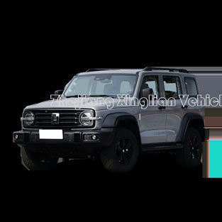 2024 Great Wall Tank 300 2,0t Бензиновый топливный 4WD 227PS 167kw 387nm Открытый кузовный тип компактный внедорожник