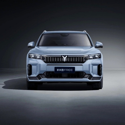 2023 Батарея Электрическое транспортное средство BEV SUV Семейный автомобиль с длинным сроком службы батареи Voyah Free 2024