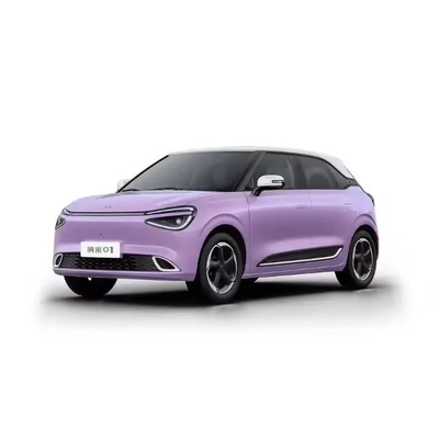 Nano 01 2024 Модель 330lite Электрическое транспортное средство с левым рулем Максимальный крутящий момент N.M 160