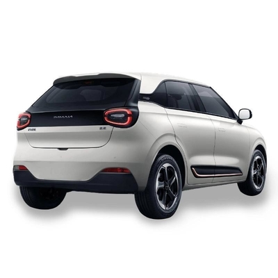 Dongfeng Nano 01 2024 Продукт Trending Маленький электромобиль Nammi 01 Мини EV Настройка